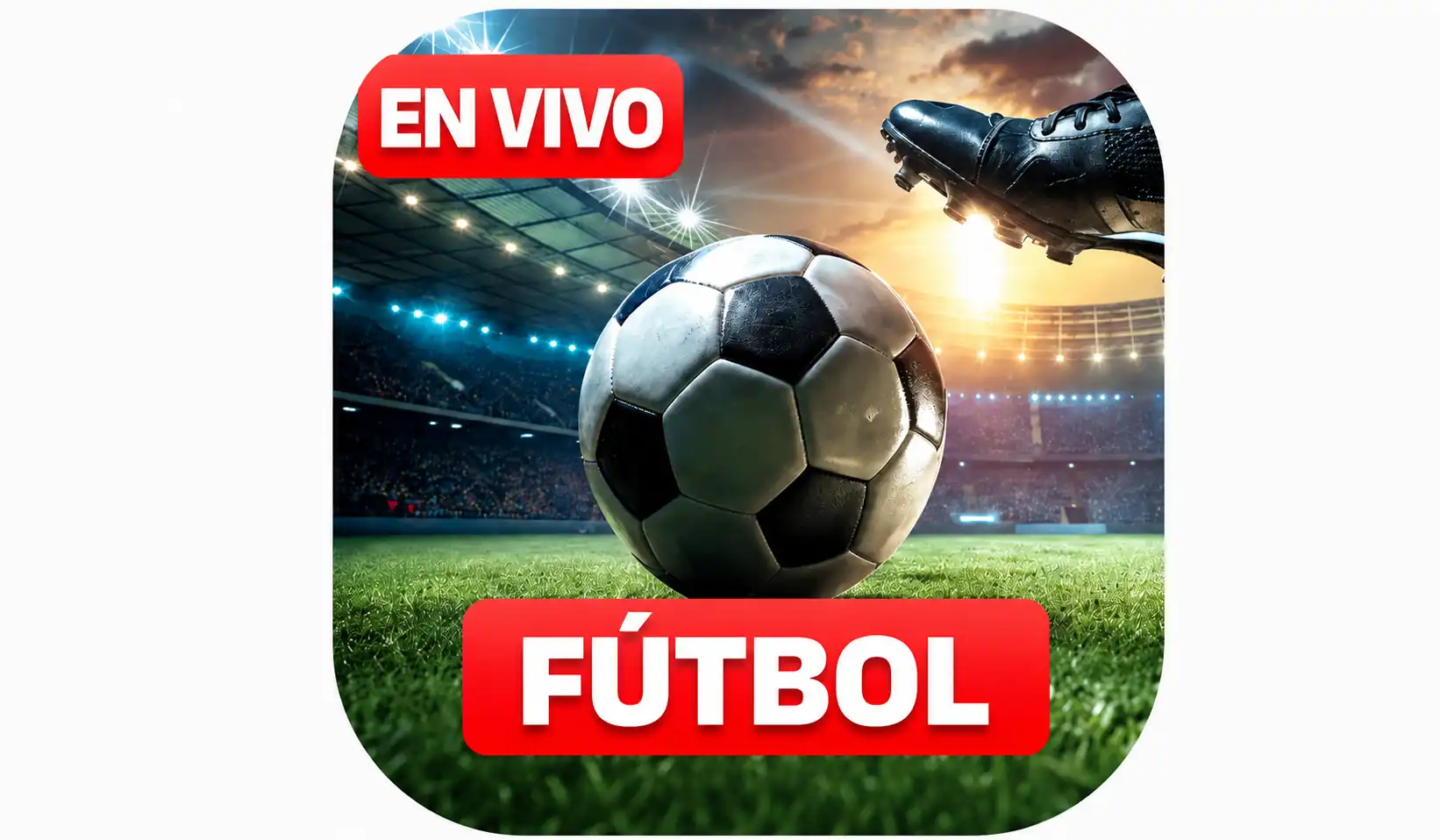 Pelota Libre